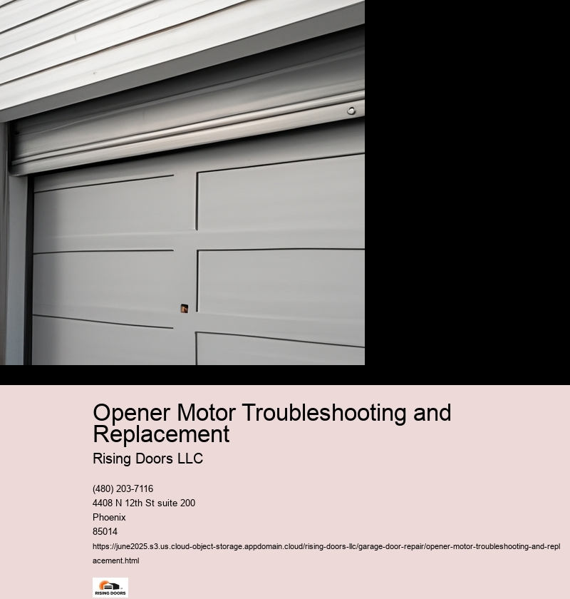 Testing the Opener Motor